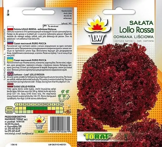 toraf-salata-lollo-rossa-1g-styl-ogrod-japonski-ogrod-nowoczesny-ogrod-skalny-ogrod-srodziemnomorski-ogrod-wiejski