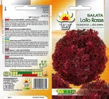 toraf-salata-lollo-rossa-1g-styl-ogrod-japonski-ogrod-nowoczesny-ogrod-skalny-ogrod-srodziemnomorski-ogrod-wiejski