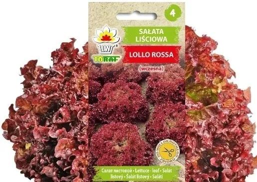 toraf-salata-lollo-rossa-1g-cechy-charakterystyczne-lubiace-cien-lubiace-slonce-oczyszczajace-powietrze-owadozerne-proste-w-pielegnacji-przyjazne-dla-zwierzat-rzadko-spotykane