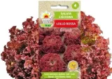 toraf-salata-lollo-rossa-1g-cechy-charakterystyczne-lubiace-cien-lubiace-slonce-oczyszczajace-powietrze-owadozerne-proste-w-pielegnacji-przyjazne-dla-zwierzat-rzadko-spotykane