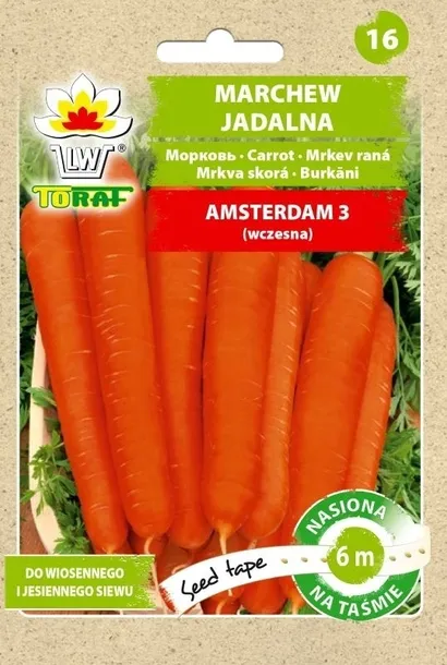 toraf-salata-lollo-rossa-1g-nazwa-lacinska-lactuca-sativa