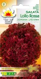 toraf-salata-lollo-rossa-1g-rodzaj-rosliny-salata-cykl-rozwojowy-rosliny-jednoroczna