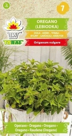 toraf-oregano-05g-cykl-rozwojowy-rosliny-wieloletnia