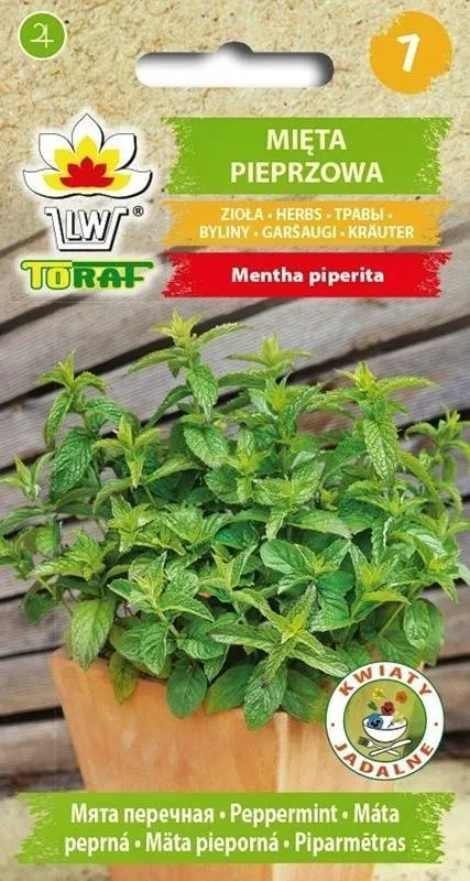 toraf-mieta-pieprzowa-01g-styl-ogrod-japonski-ogrod-nowoczesny-ogrod-skalny-ogrod-srodziemnomorski-ogrod-wiejski