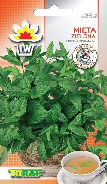 toraf-mieta-pieprzowa-01g-nazwa-lacinska-mentha-piperita