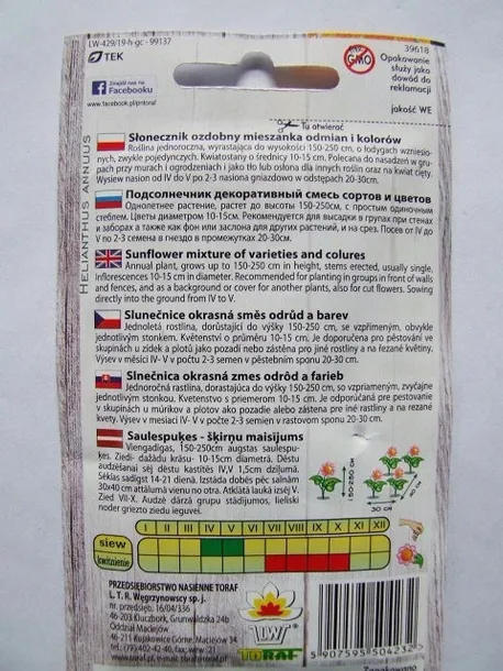 toraf-slonecznik-ozdobny-red-sun-2g-rodzaj-rosliny-sloneczniki-styl-ogrod-japonski-ogrod-nowoczesny-ogrod-skalny-ogrod-srodziemnomorski-ogrod-wiejski
