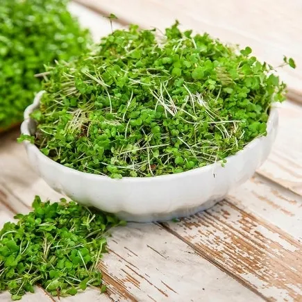 toraf-kielki-gorczyca-30g-cechy-dodatkowe-weganskie-wegetarianskie