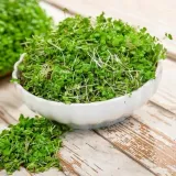 toraf-kielki-gorczyca-30g-cechy-dodatkowe-weganskie-wegetarianskie