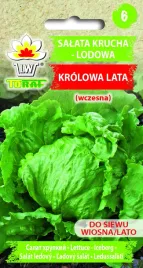 toraf-salata-krolowa-lata-1g-krucha-lodowa