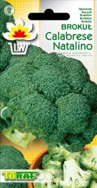 toraf-brokul-calabrese-1g