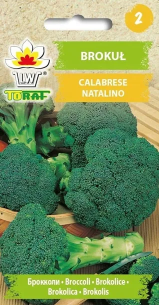 toraf-brokul-calabrese-1g-rodzaj-rosliny-brokul