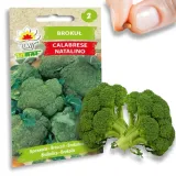 toraf-brokul-calabrese-1g-odmiana-calabrese-natalino