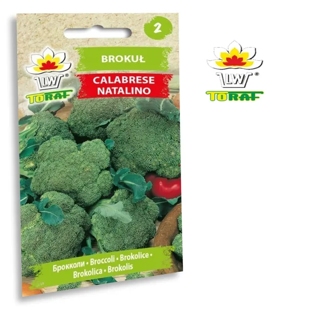 toraf-brokul-calabrese-1g-cechy-charakterystyczne-lubiace-slonce-proste-w-pielegnacji