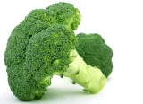 toraf-brokul-calabrese-1g-nazwa-lacinska-brassica-oleracea