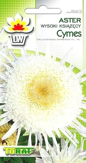 toraf-aster-ksiaz-cymes-1g
