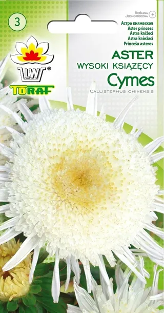 toraf-aster-ksiaz-cymes-1g-cykl-rozwojowy-rosliny-jednoroczna