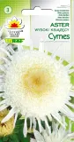 toraf-aster-ksiaz-cymes-1g-cykl-rozwojowy-rosliny-jednoroczna