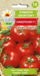 toraf-pomidor-harzfeuer-03g
