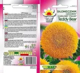 toraf-slonecznik-ozdobny-teddy-bear-2g-styl-ogrod-japonski-ogrod-nowoczesny-ogrod-skalny-ogrod-srodziemnomorski-ogrod-wiejski