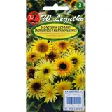 toraf-slonecznik-ozdobny-teddy-bear-2g-nazwa-lacinska-helianthus-annus