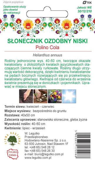 toraf-slonecznik-ozdobny-teddy-bear-2g-rodzaj-rosliny-sloneczniki-odmiana-teddy-bear
