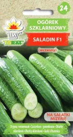 toraf-ogorek-pod-oslony-saladin-f1