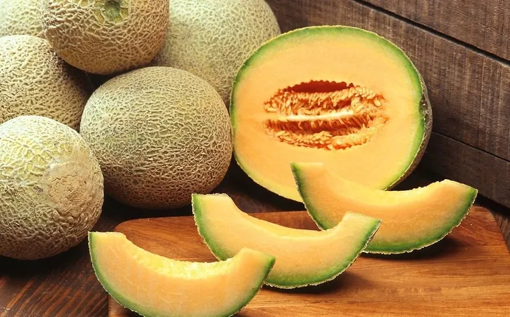 toraf-melon-charentaise-3g-styl-ogrod-wiejski