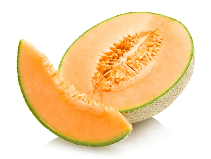 toraf-melon-charentaise-3g-cykl-rozwojowy-rosliny-jednoroczna