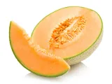 toraf-melon-charentaise-3g-cykl-rozwojowy-rosliny-jednoroczna