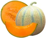 toraf-melon-charentaise-3g-marka-toraf