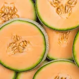 toraf-melon-charentaise-3g-rodzaj-rosliny-melon-cykl-rozwojowy-rosliny-jednoroczna