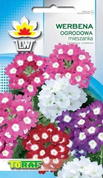 toraf-werbena-ogrodowa-03g-styl-ogrod-japonski-ogrod-nowoczesny-ogrod-skalny-ogrod-srodziemnomorski-ogrod-wiejski