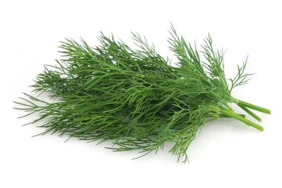 toraf-koper-szmaragd-100g-styl-ogrod-nowoczesny-ogrod-srodziemnomorski-ogrod-wiejski