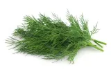 toraf-koper-szmaragd-100g-styl-ogrod-nowoczesny-ogrod-srodziemnomorski-ogrod-wiejski