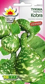 toraf-tykwa-kobra-6szt