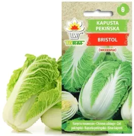 toraf-kapusta-pekinska-bristol-1g