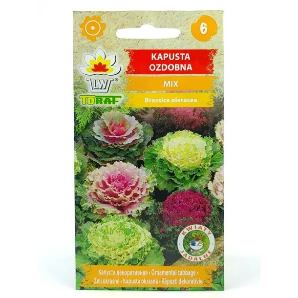 toraf-kapusta-ozdobna-mix-05g-styl-ogrod-japonski-ogrod-nowoczesny-ogrod-skalny-ogrod-srodziemnomorski-ogrod-wiejski