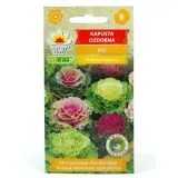 toraf-kapusta-ozdobna-mix-05g-styl-ogrod-japonski-ogrod-nowoczesny-ogrod-skalny-ogrod-srodziemnomorski-ogrod-wiejski