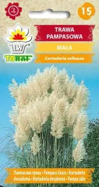 toraf-trawa-pampasowa-biala-01g