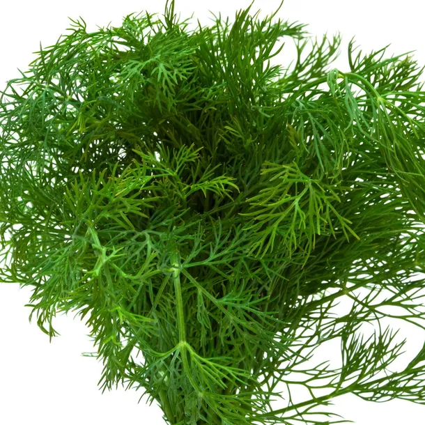 toraf-rumianek-05g-styl-ogrod-nowoczesny-ogrod-skalny-ogrod-wiejski-rodzaj-rosliny-rumianek