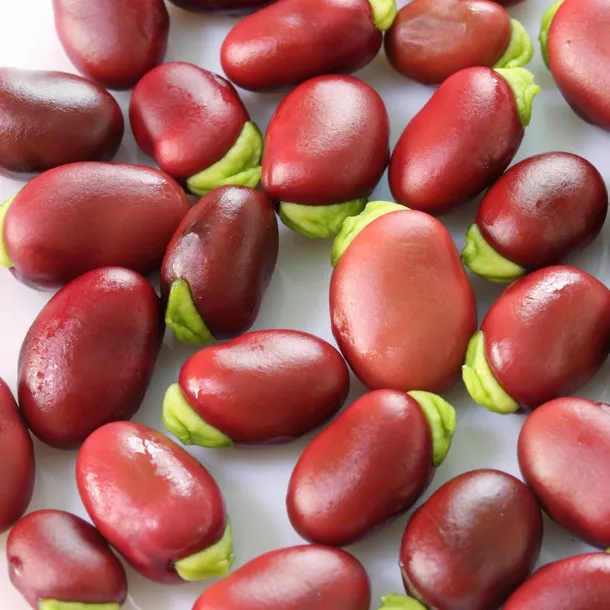 toraf-bob-karmazyn-30g-marka-toraf