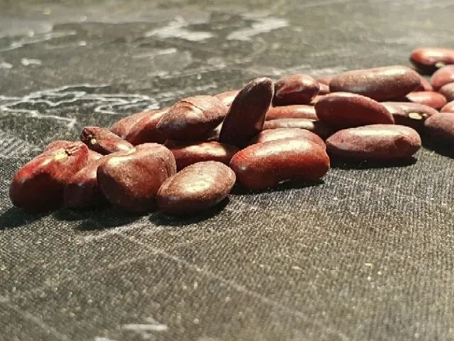 toraf-bob-karmazyn-30g-kod-producenta-nas1303