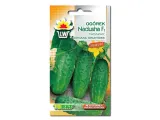 toraf-ogorek-nadusha-1g
