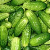 toraf-ogorek-nadusha-1g-kod-producenta-5907595507424