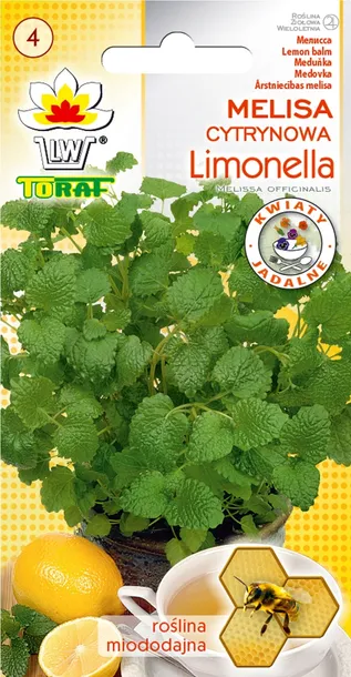 toraf-melisa-limonella-0-5g-rodzaj-rosliny-melisa