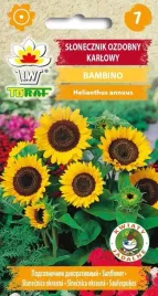 toraf-slonecznik-bambino-2g