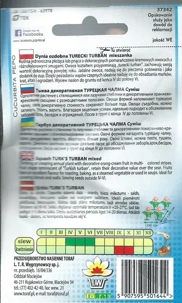 toraf-dynia-turecki-turban-2g-waga-2-g