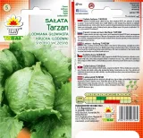 toraf-salata-tarzan-1g-rodzaj-rosliny-salata