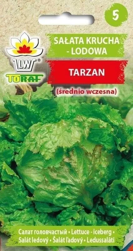 toraf-salata-tarzan-1g-rodzaj-rosliny-salata