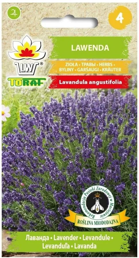 toraf-lawenda-02g-styl-ogrod-japonski-ogrod-nowoczesny-ogrod-skalny-ogrod-srodziemnomorski-ogrod-wiejski